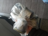20180104_125318.jpg