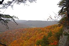 DSC_6746m.jpg