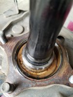 20180116_164525.jpg