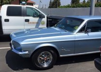 Mustang.JPG