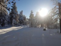 IMG_20171224_204608.jpg