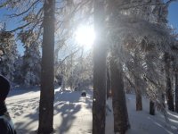 IMG_20171224_204456.jpg