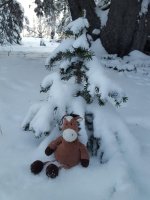 IMG_20171224_204707.jpg
