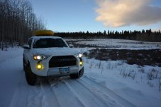 DSC_0092.jpg