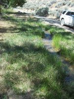 34533-Farrel Creek.jpg