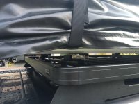 IMG_8355.jpg