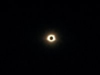 iphone pic of corona.jpg