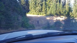 IMG_20170828_021528.jpg