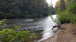 IMG_20170828_021618.jpg