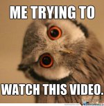 trying-to-watch-sideways-video_o_2390035.jpg