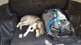 20160815_153106.jpg