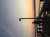 IMG_2298.jpg