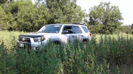 4Runner.jpg