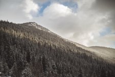 11-7-2017 RP-2.jpg