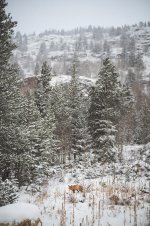 11-7-2017 RP-47.jpg