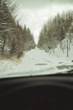 11-7-2017 RP-12.jpg