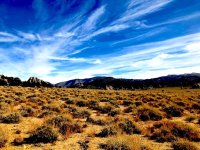 IMG_5853.jpg