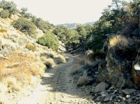 IMG_5861.jpg