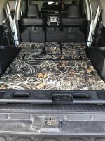 canvasback.jpg canvasback.jpg