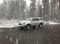 IMG_3143.jpg