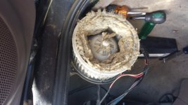 20160724_143129.jpg