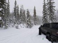 20180121_114451.jpg