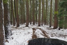 4runnertrail.jpg