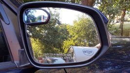 blind spot .jpg