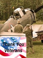Vets Day.jpg