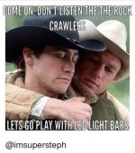 gaylightbars.jpg