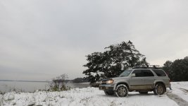IMG_3187.jpg