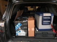 trunk out of control.jpg