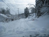 image001.jpg