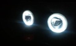 light3.JPG