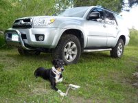 bella 4runner.jpg
