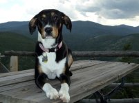 bella3.jpg