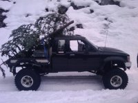 Christmas Tree Run2.jpg Christmas Tree Run2.jpg