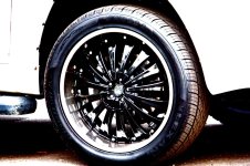 201998_509869112117_106600021_30257481_1869300_o.jpg