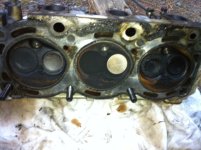3.0 Left Side Head.JPG