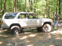 Mud trail.jpg
