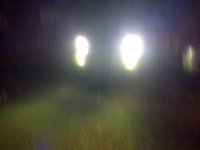 hid fogs.jpg