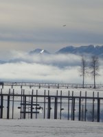 nov 2010 dec 2010 063.jpg