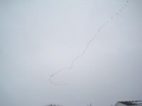 IMG_0685.JPG
