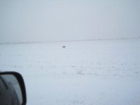 IMG_0689.JPG