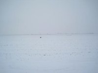 IMG_0690.JPG