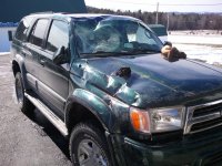 2011-02-20 11.52.39.jpg