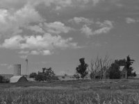 IMG_2038.jpeg