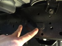 IMG_3973.jpg