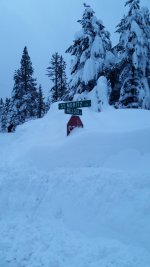 snow sign.jpg