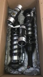 shocks1.jpg